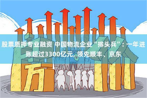 股票质押专业融资 中国物流企业“排头兵”: 一年进账超过3300亿元, 领先顺丰、京东