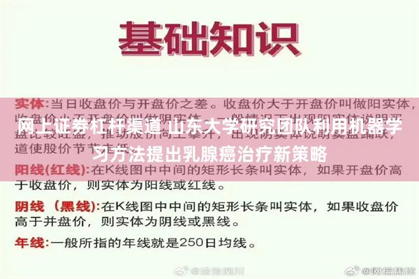 网上证劵杠杆渠道 山东大学研究团队利用机器学习方法提出乳腺癌治疗新策略