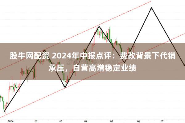 股牛网配资 2024年中报点评：费改背景下代销承压，自营高增稳定业绩