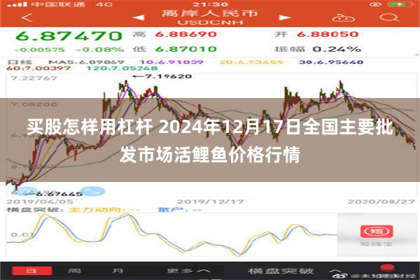 买股怎样用杠杆 2024年12月17日全国主要批发市场活鲤鱼价格行情