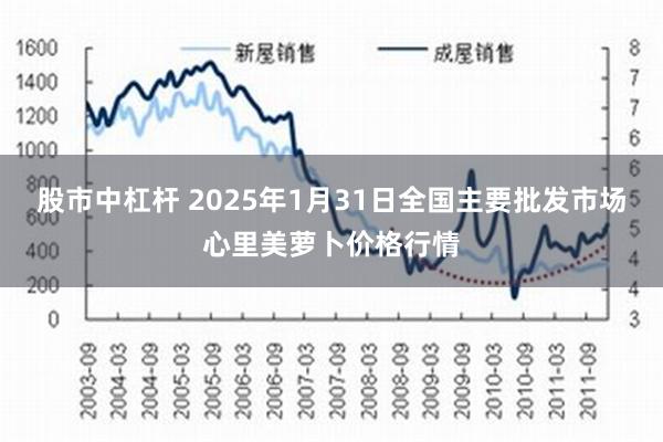 股市中杠杆 2025年1月31日全国主要批发市场心里美萝卜价格行情